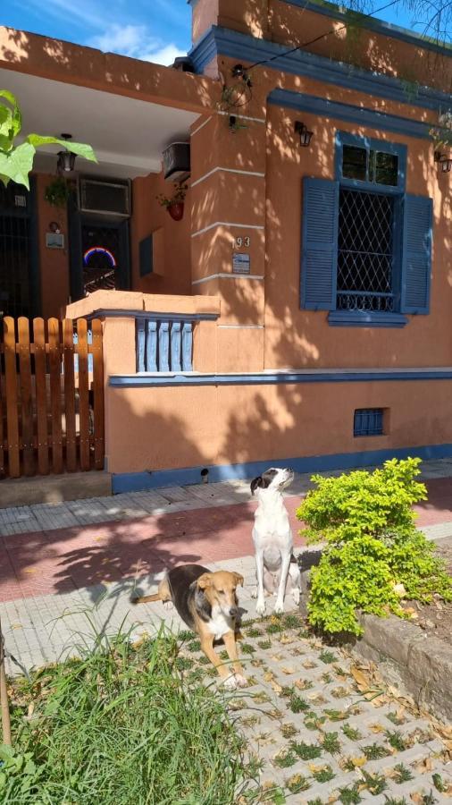 Hostel El Caminito LGBTQIA plus Santos  Exterior foto